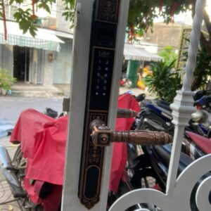 Alternative view of Laffer WA02, khóa vân tay 2 mặt dành cho cửa cổng biệt thự